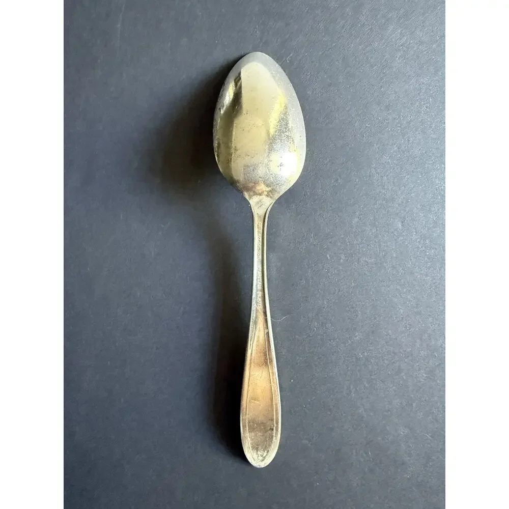 Vintage Oneida Community Puritan Plate Silverplate Spoon - Milady Beaded Pattern